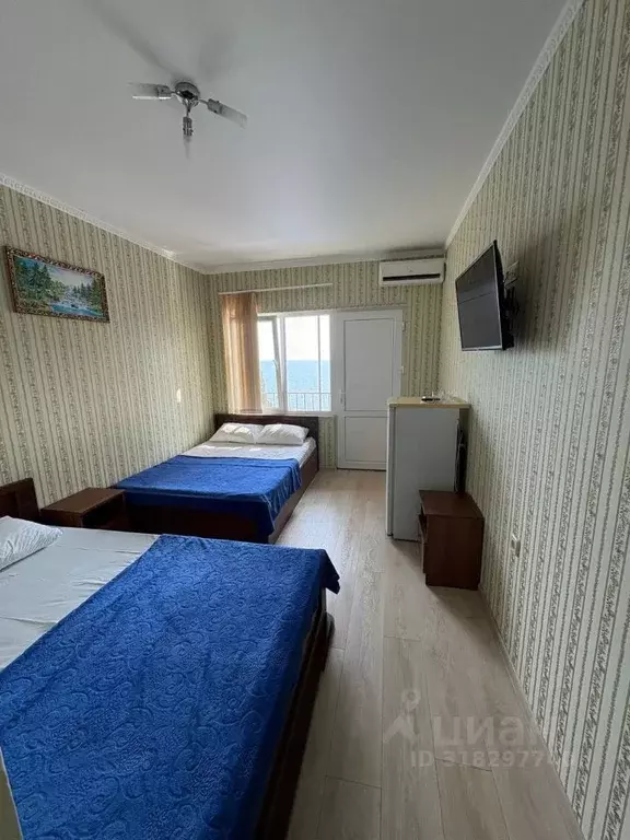 Комната Краснодарский край, Сочи ул. Декабристов, 139 (20.0 м) - Фото 0