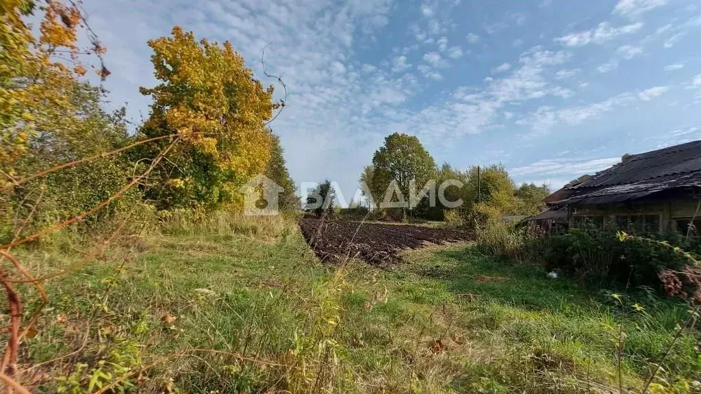 Участок в Владимирская область, Юрьев-Польский район, Небыловское ... - Фото 1