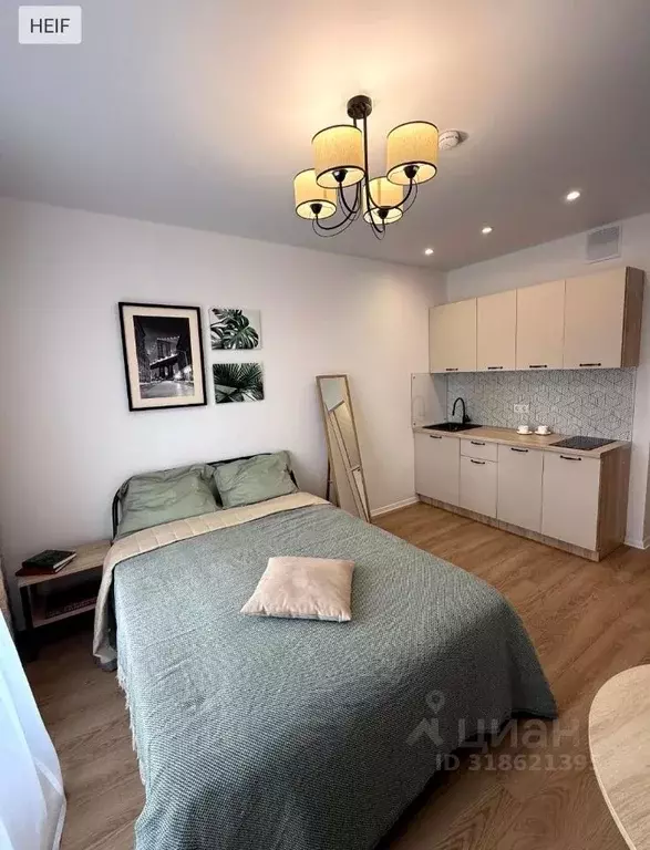 Студия Московская область, Одинцово ул. Березовая, 5к2 (20.0 м) - Фото 0
