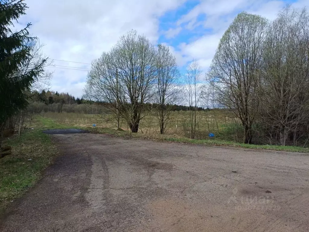 Участок в Московская область, Можайский городской округ, д. Рогачево 7 ... - Фото 1