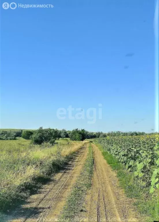 Участок в Сакский район, село Фрунзе (250 м) - Фото 1