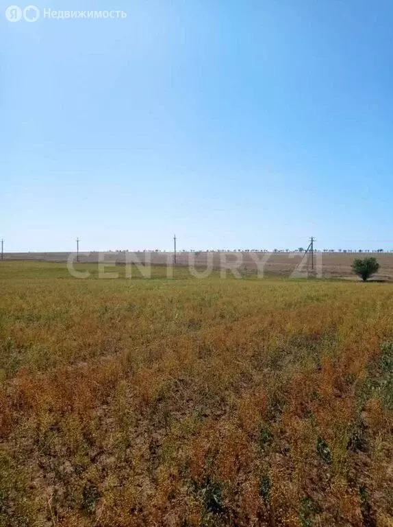 Участок в Сакский район, село Добрушино (152.4 м) - Фото 2