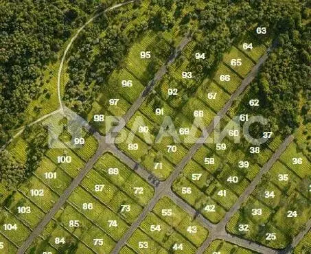 Участок в Ленинградская область, Всеволожский район, Куйвозовское ... - Фото 2