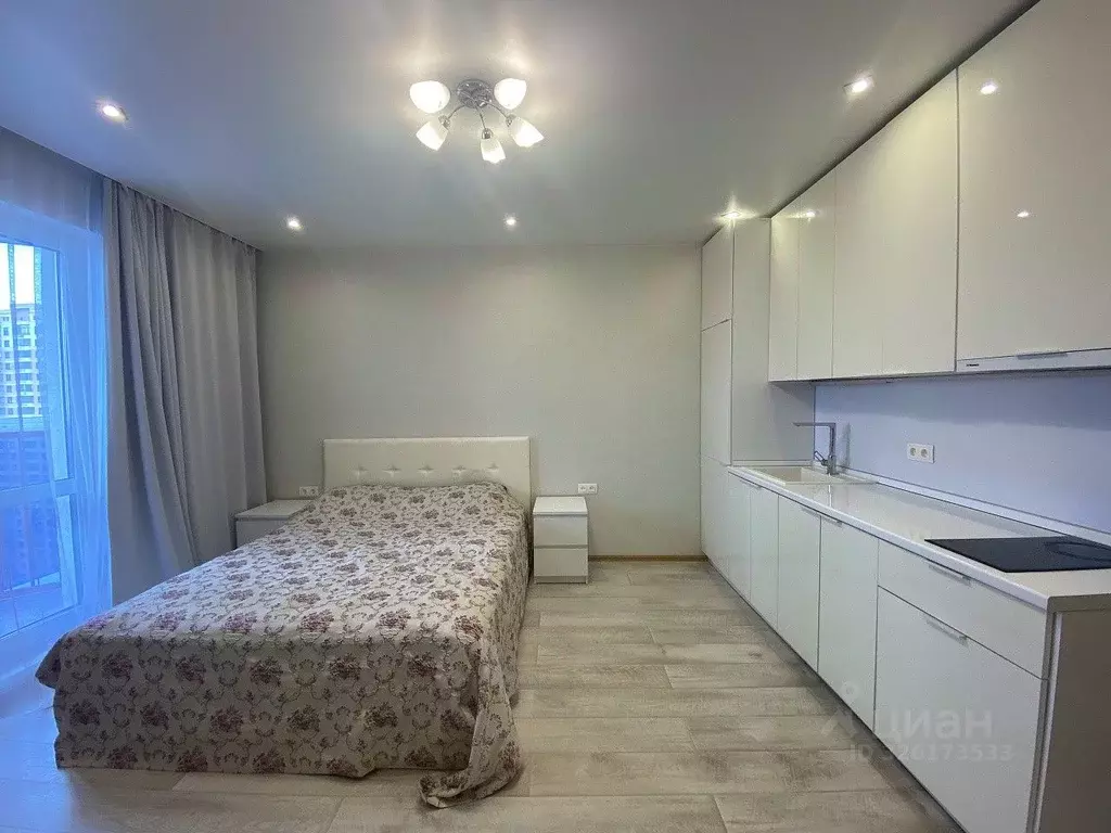 Студия Новосибирская область, Новосибирск ул. Фрунзе, 49/1 (27.5 м) - Фото 1