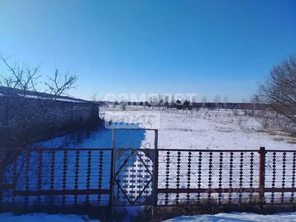 Участок в Липецкая область, Грязинский муниципальный округ, с. ... - Фото 1