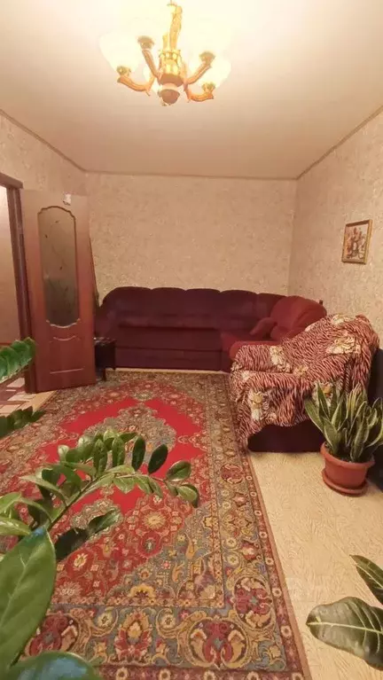 2-к кв. Саратовская область, Саратов Тульская ул., 13 (44.8 м) - Фото 1