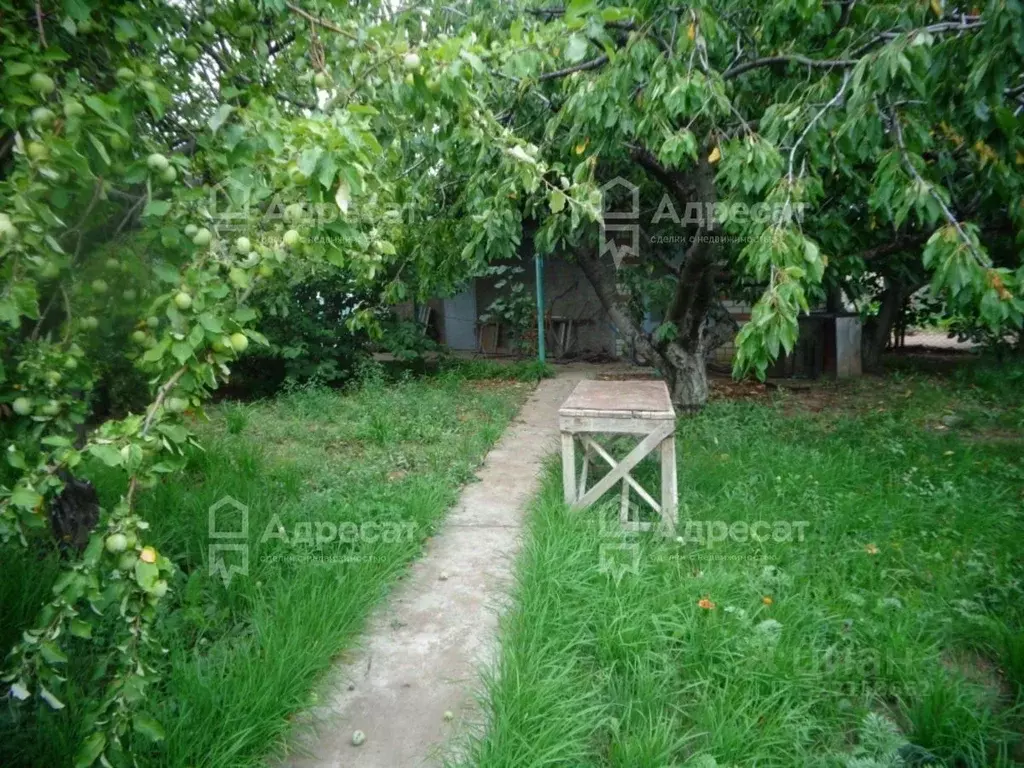 Участок в Волгоградская область, Городищенский район, Царицынское ... - Фото 2