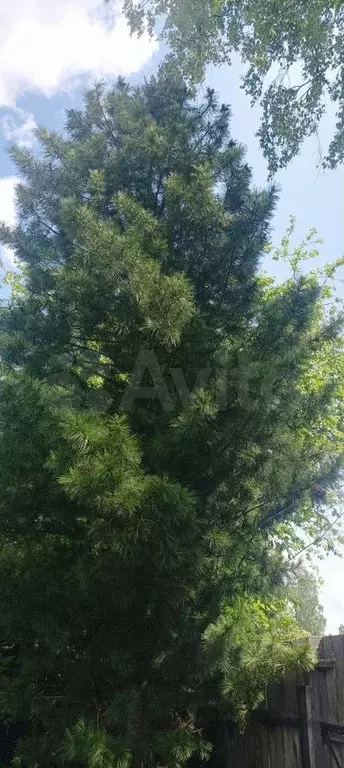 Дача 24 м на участке 8 сот. - Фото 1