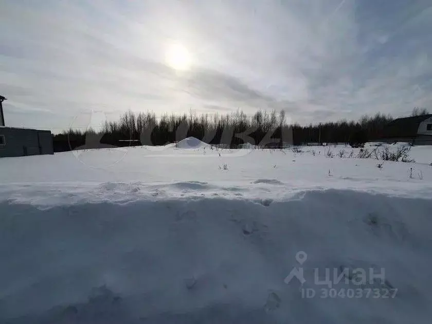 Участок в Тюменская область, Тобольск Восточный мкр, ул. Евгения ... - Фото 0