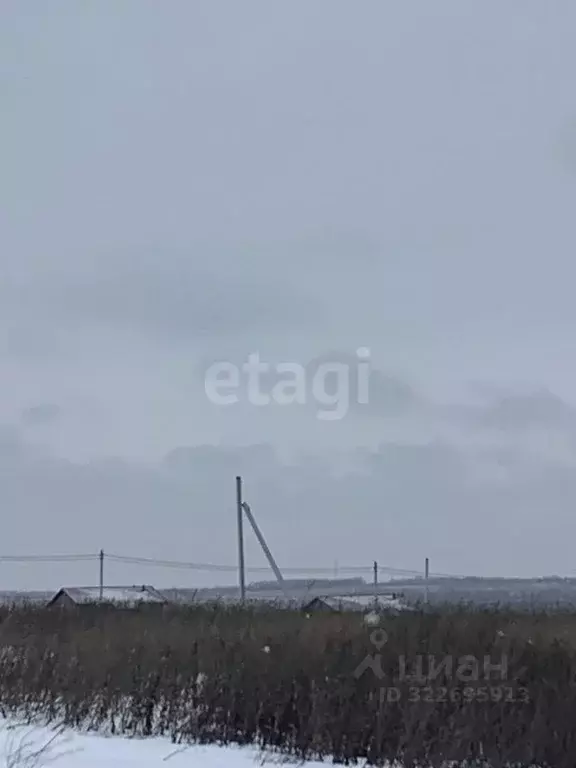 Участок в Белгородская область, Белгородский район, Головинское с/пос, ... - Фото 2