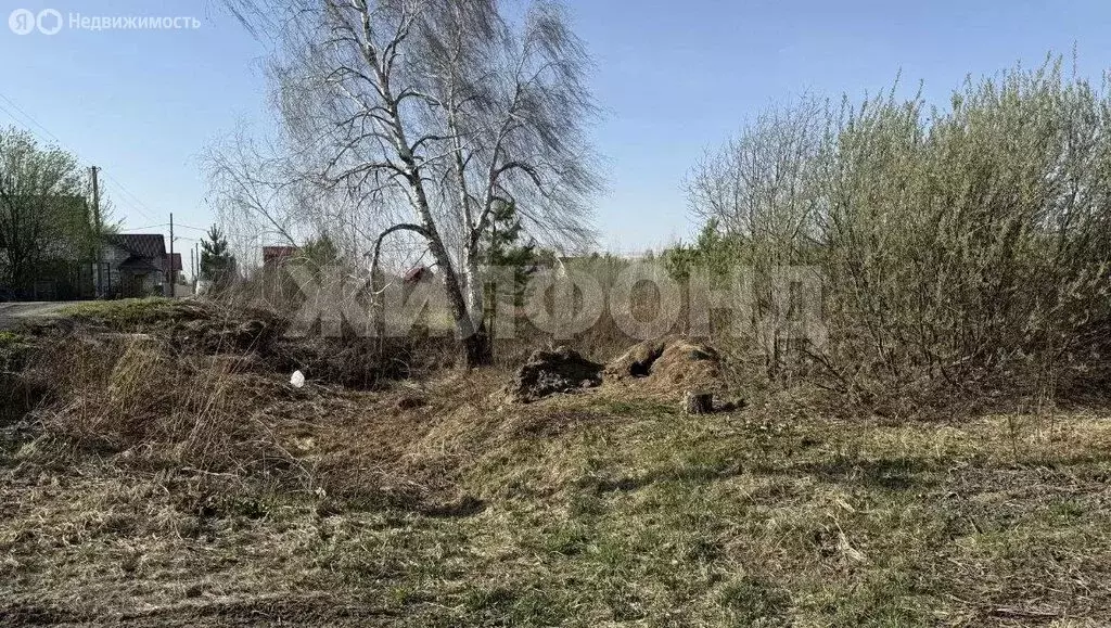 Участок в Колыванский район, Центральная улица (12 м) - Фото 2