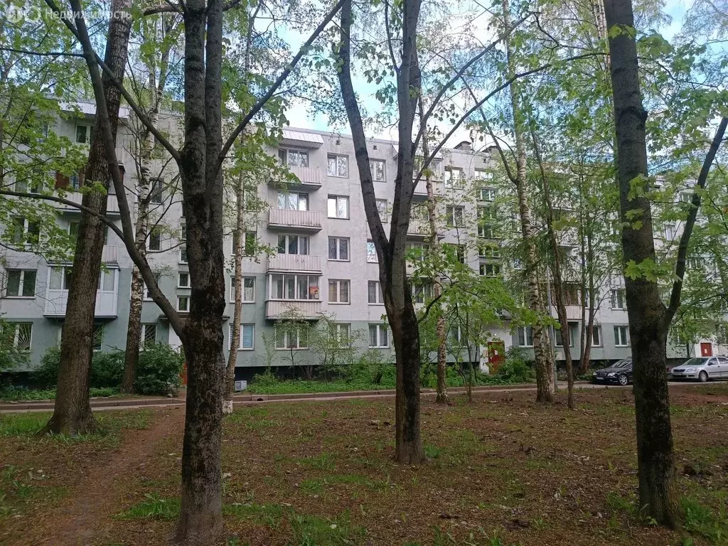 2-комнатная квартира: Санкт-Петербург, Северный проспект, 63к5 (44.3 ... - Фото 1