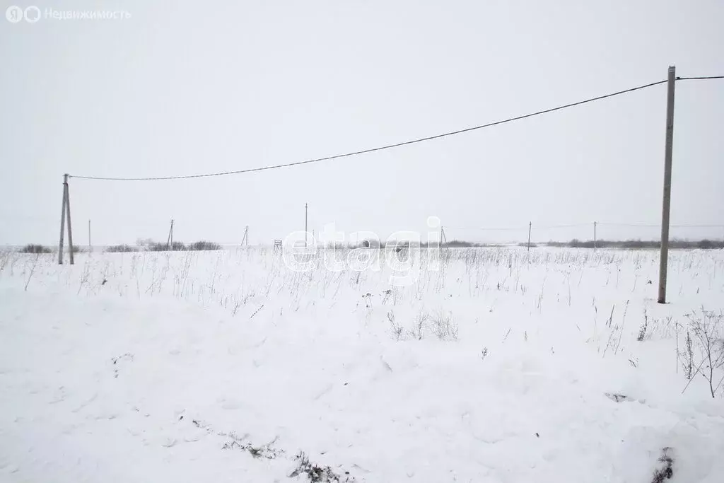 Участок в Ялуторовск, улица Жигайло (8.76 м) - Фото 2