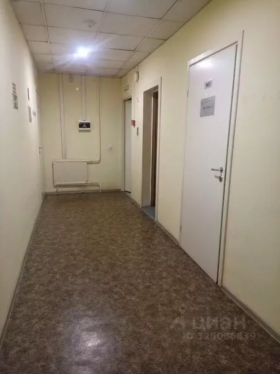 Офис в Санкт-Петербург ул. Трефолева, 1 (5 м) - Фото 2