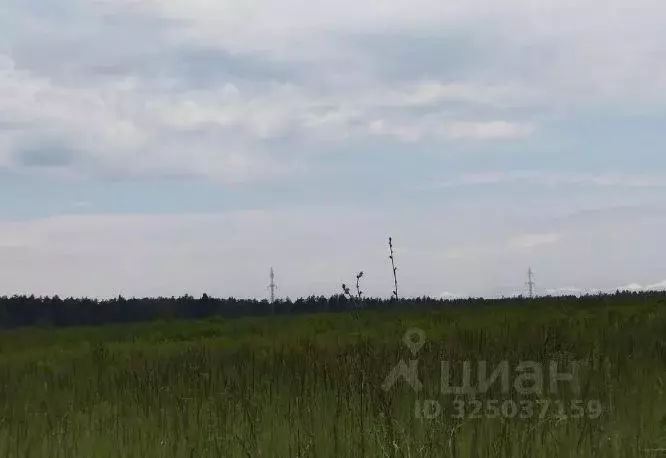 Участок в Московская область, Дмитровский муниципальный округ, д. ... - Фото 1