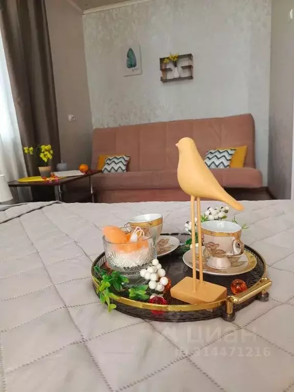 1-к кв. Оренбургская область, Новотроицк Железнодорожная ул., 59 (33.0 ... - Фото 2