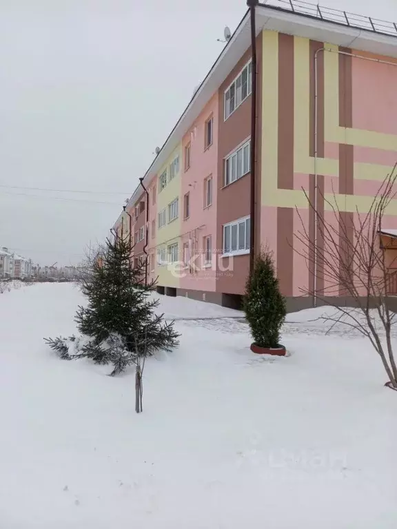 1-к кв. Нижегородская область, Городец ул. Шмагрина, 9 (32.0 м) - Фото 1