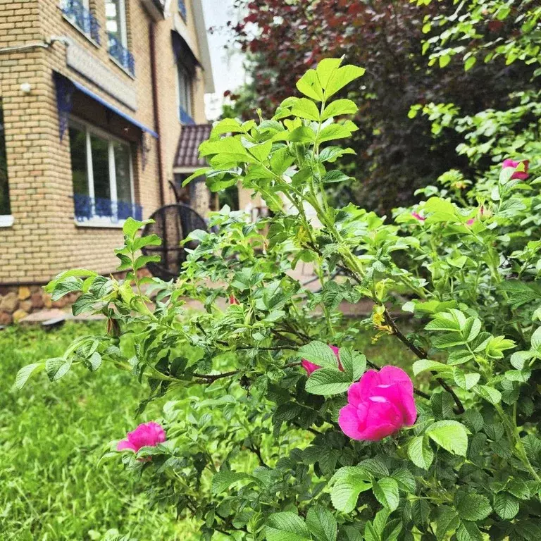 Дом в Московская область, Наро-Фоминский городской округ, д. ... - Фото 2