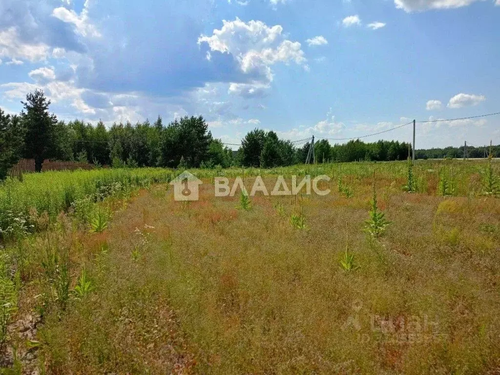 Участок в Владимирская область, Суздальский район, Боголюбовское ... - Фото 0