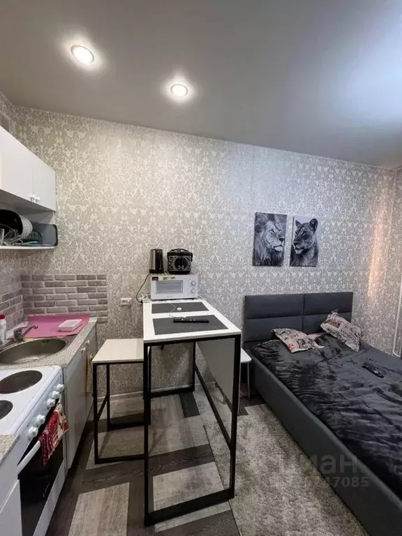 Студия Иркутская область, Иркутск проезд Юрия Тена, 12/5 (28.0 м) - Фото 1