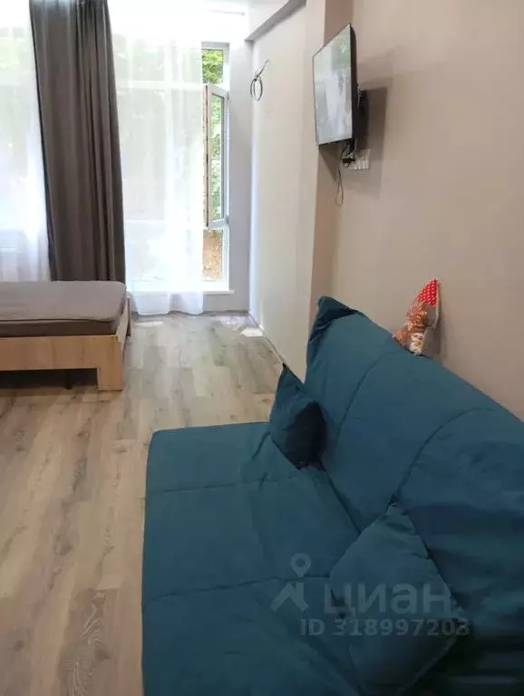 Студия Краснодарский край, Сочи ул. Камо, 70 (32.0 м) - Фото 1