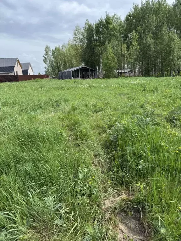 Участок в Московская область, Ступино городской округ, с. Мышенское, ... - Фото 2