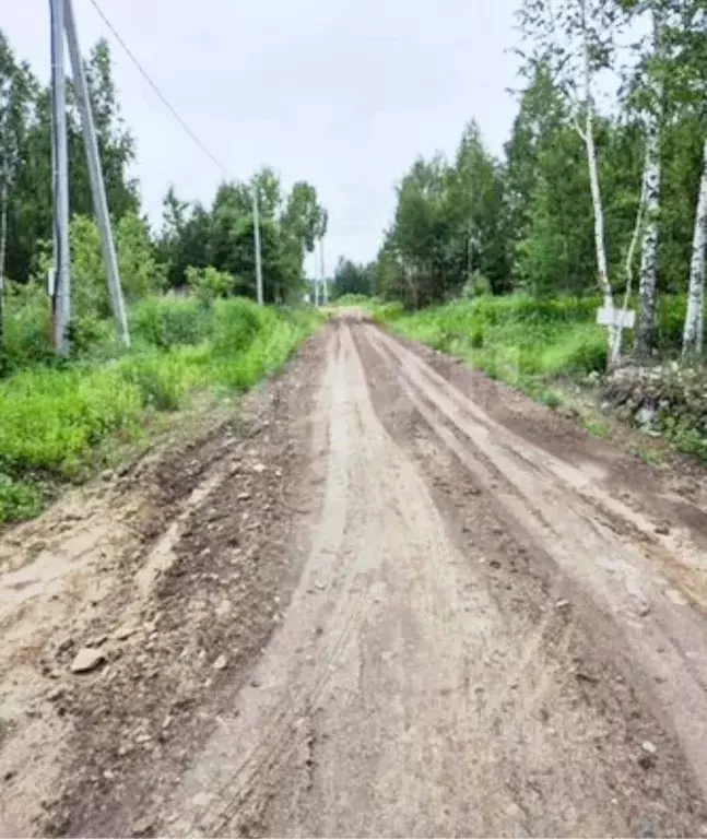 Участок в Тюменская область, Нижнетавдинский муниципальный округ, с. ... - Фото 1