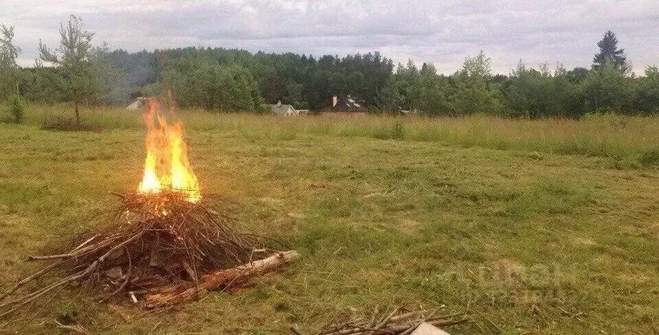 Участок в Ленинградская область, Лужский район, Толмачевское городское ... - Фото 0