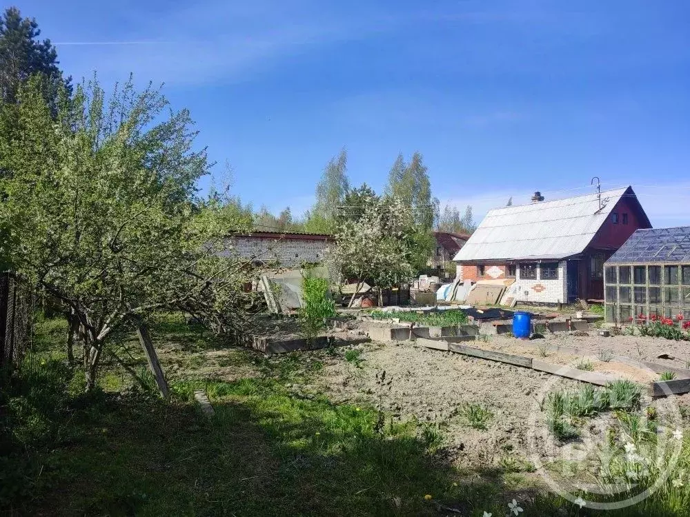 Участок в Санкт-Петербург, Санкт-Петербург, Павловск Звездочка СНТ, ... - Фото 1