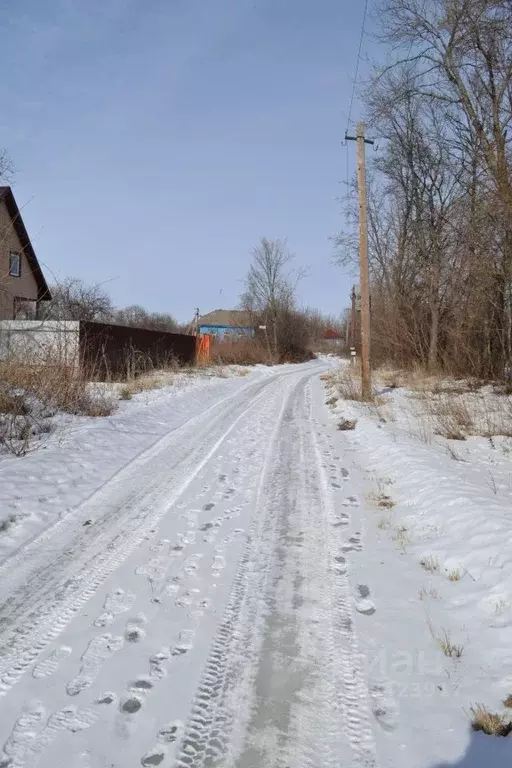 Участок в Воронежская область, Семилукский район, с. Перлевка ... - Фото 1