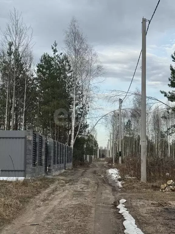 Участок в Брянская область, Брянский район, Нетьинское с/пос, д. ... - Фото 1