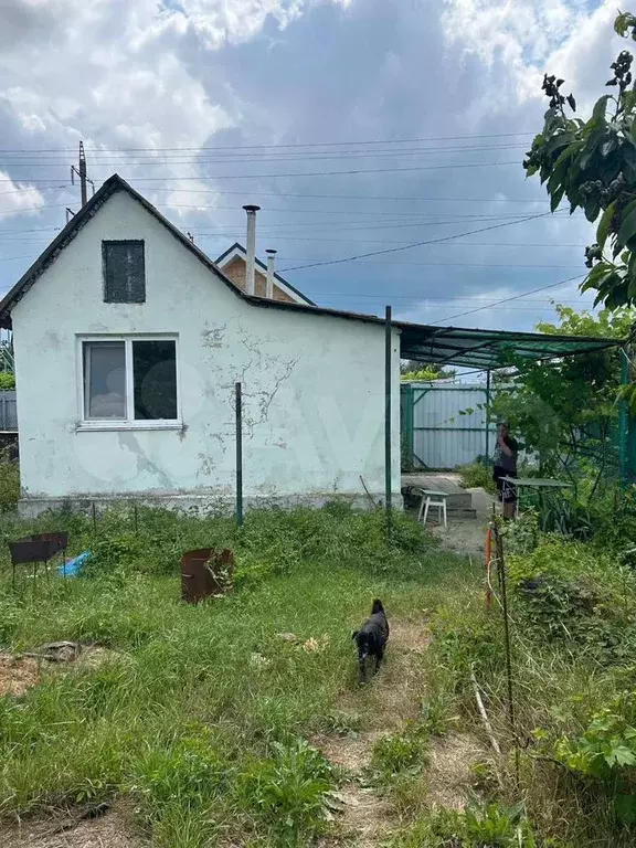 Участок 4 сот. (СНТ, ДНП) - Фото 0