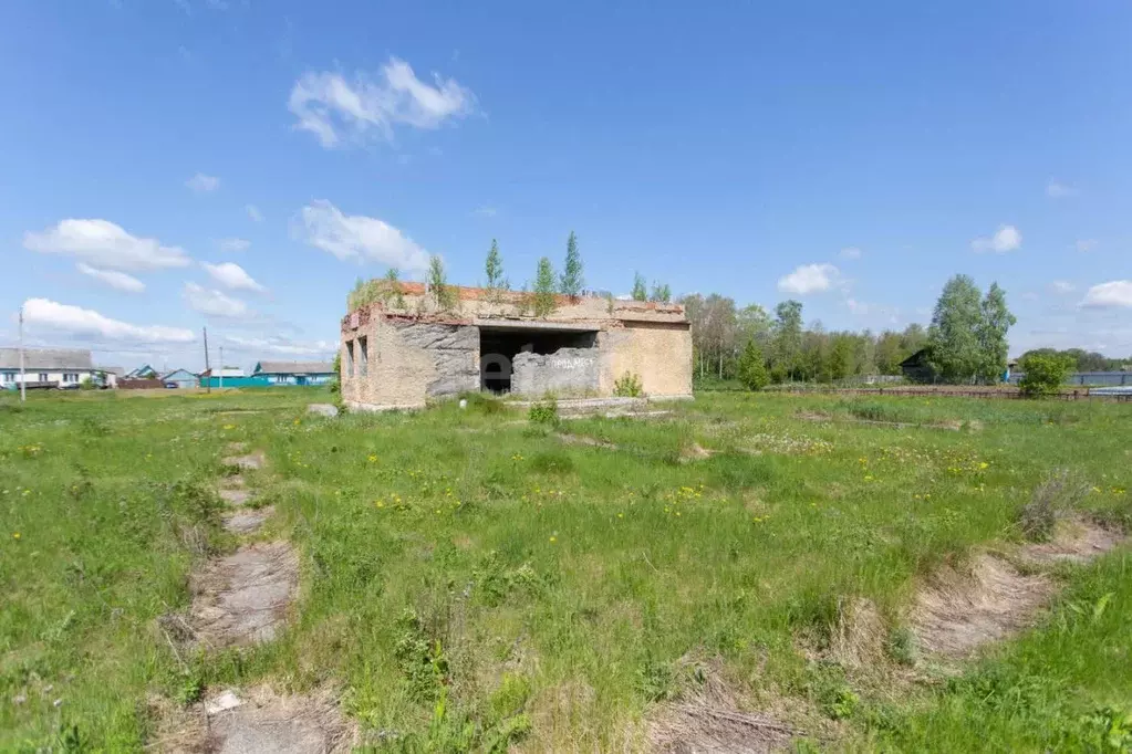 Помещение свободного назначения в Тюменская область, Тобольский ... - Фото 1