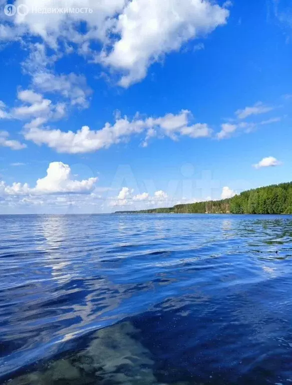 Участок в Нижегородская область, муниципальный округ Сокольский, ... - Фото 2