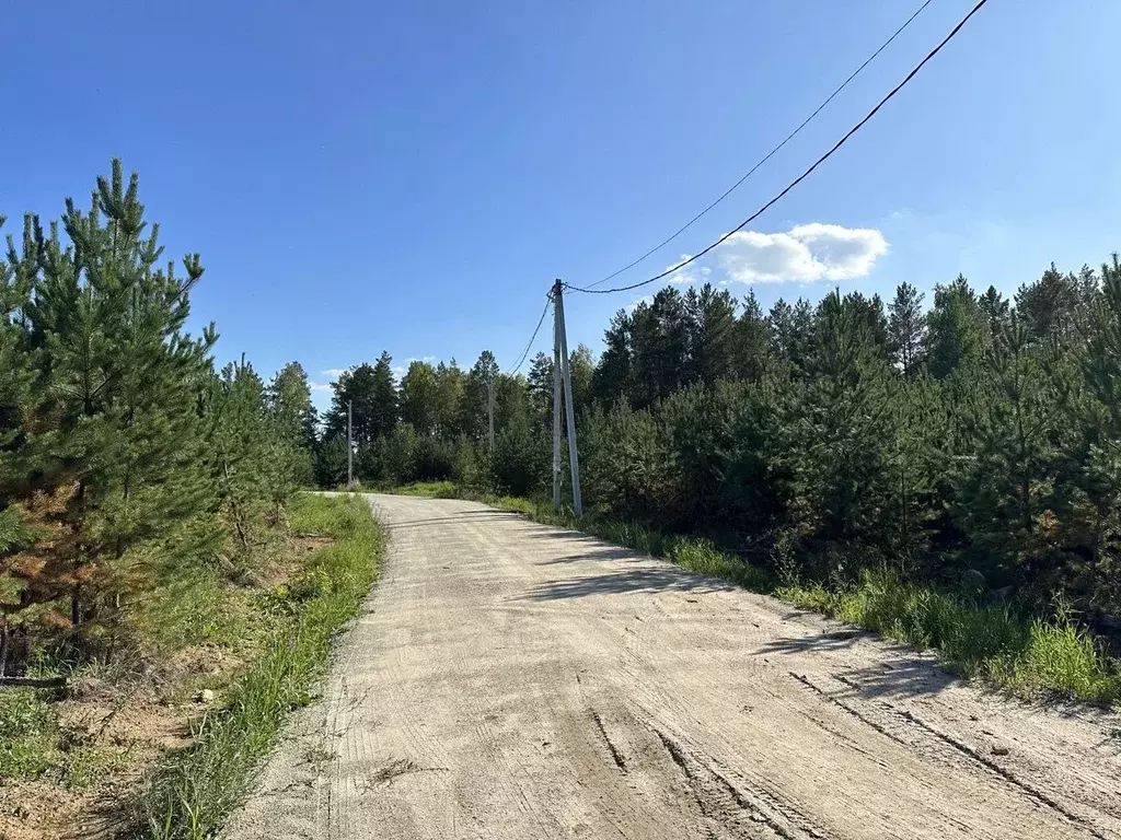 Участок в Свердловская область, Белоярский муниципальный округ, пос. ... - Фото 1