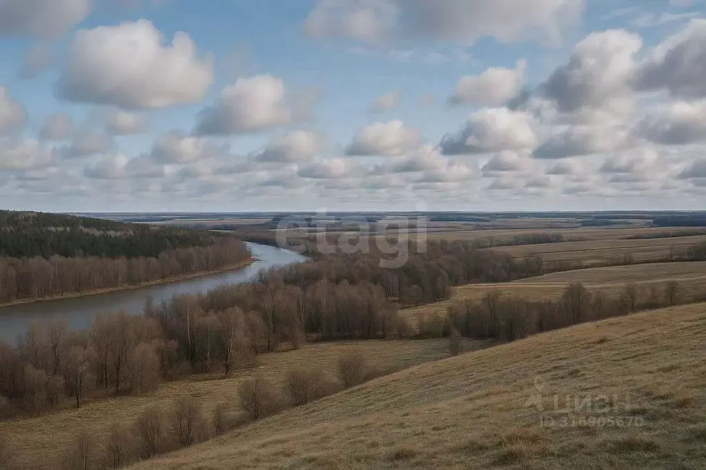 Участок в Татарстан, Зеленодольский район, Большеякинское с/пос, с. ... - Фото 1