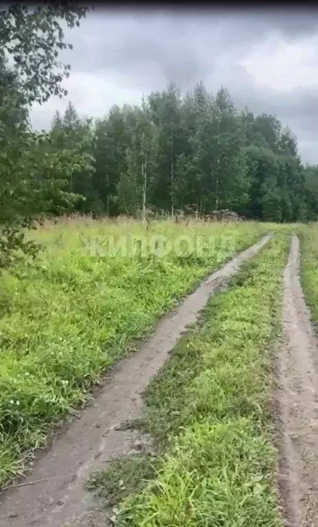 Участок в Новосибирская область, Мошковский район, с. Сокур Советская ... - Фото 0