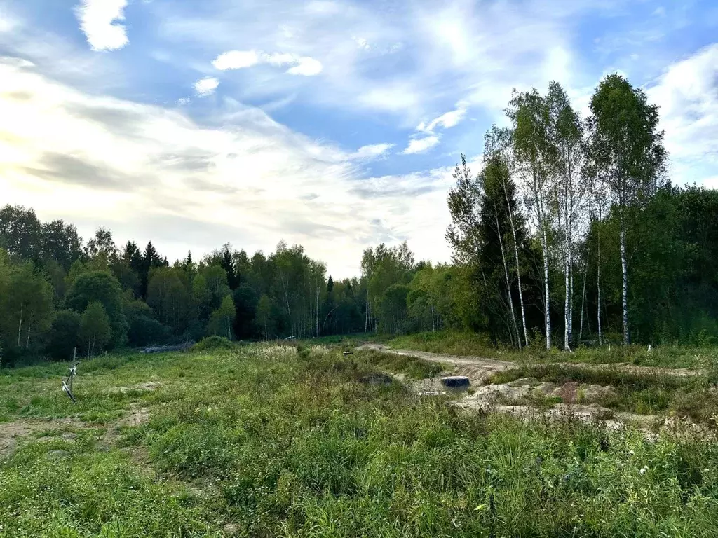 Участок в Московская область, Истра городской округ, СНТ Надежда-2 ... - Фото 0