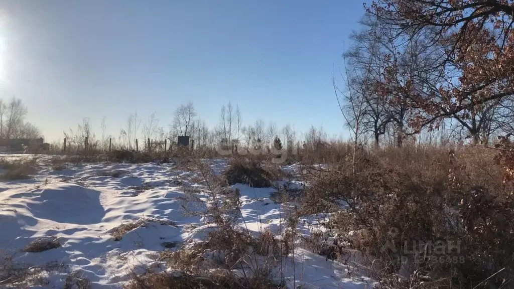 Участок в Амурская область, Благовещенский район, с. Игнатьево  (8.5 ... - Фото 0