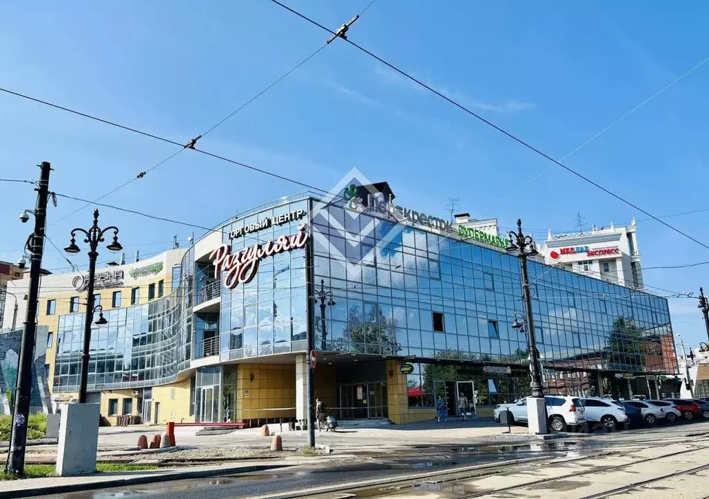 Помещение свободного назначения в Пермский край, Пермь Пермская ул., 7 ... - Фото 1