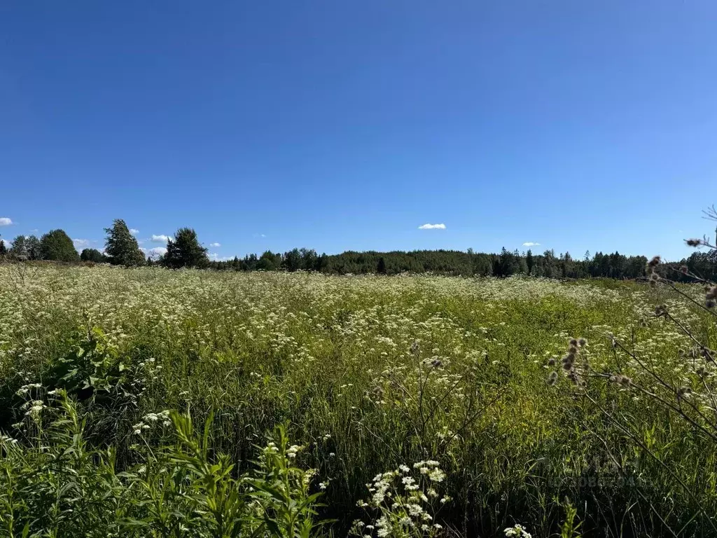 Участок, 1400 сот., фермерское хоз-во - Фото 1