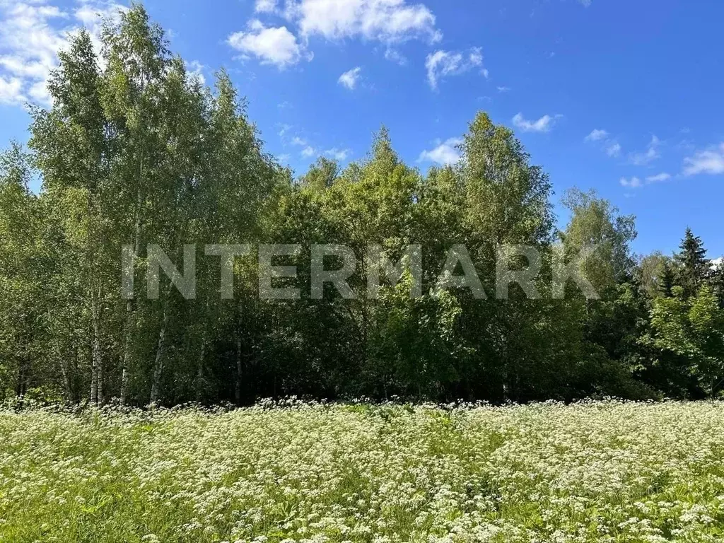 Участок в Московская область, Солнечногорск городской округ, д. ... - Фото 1