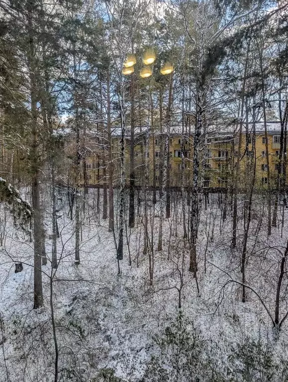 3-к кв. Новосибирская область, Новосибирск Академгородок мкр, ул. ... - Фото 2