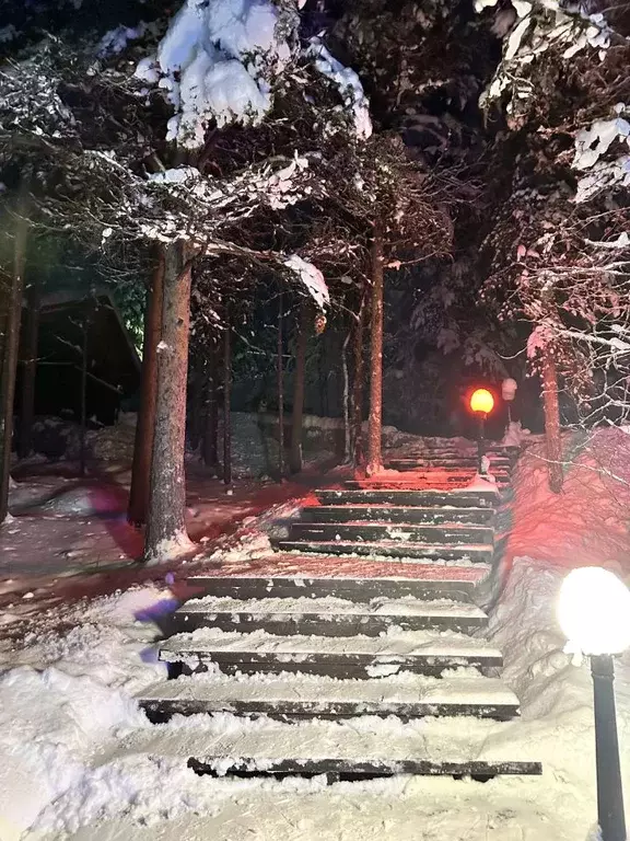 Участок в Мурманская область, Кольский район, Тулома с/пос, Лотта ДНП  ... - Фото 1