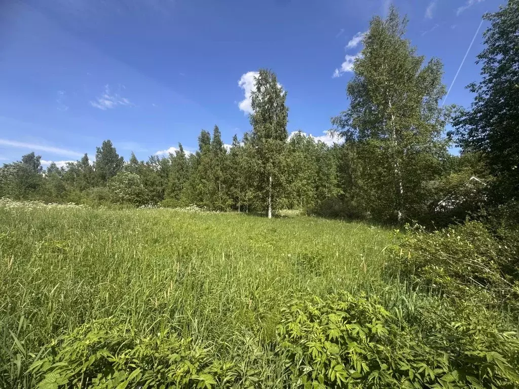 Участок в Ленинградская область, Ломоносовский район, Виллозское ... - Фото 1
