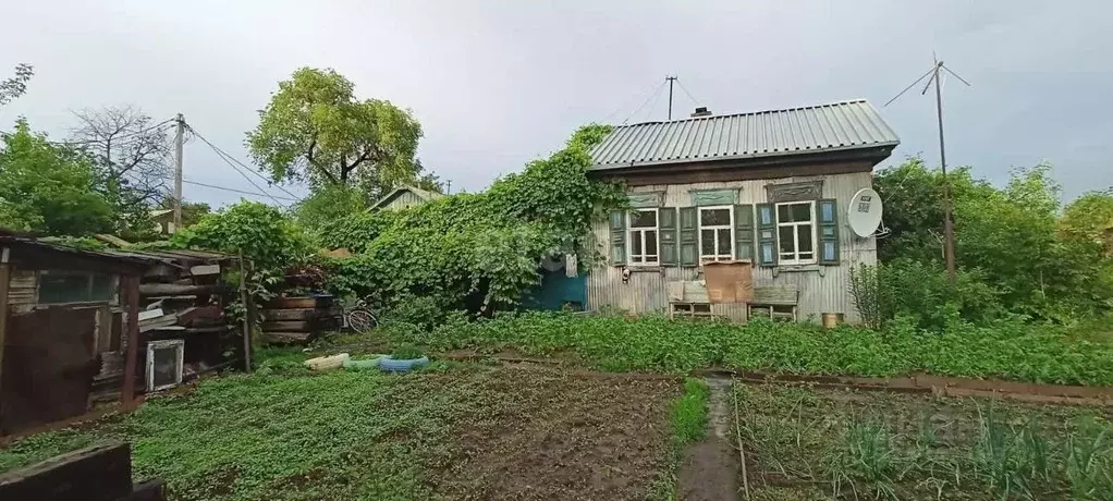 Дом в Амурская область, Благовещенск Конная ул., 170 (37 м) - Фото 0
