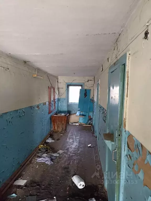 Дом в Курганская область, с. Белозерское ул. Рогачева, 16 (219 м) - Фото 2