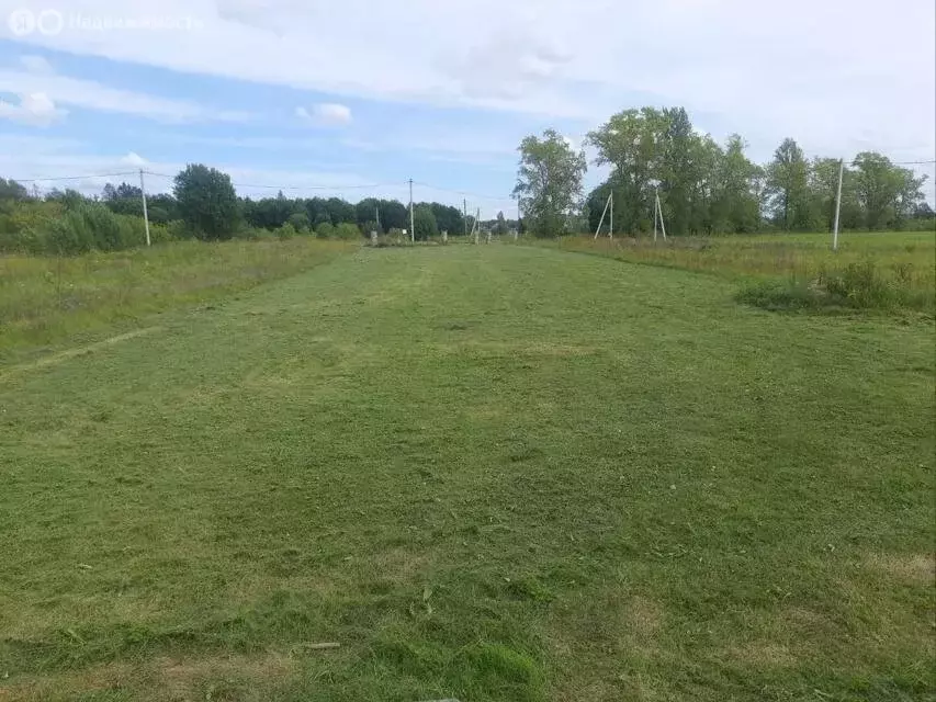 Участок в Волосовский район, Большеврудское сельское поселение, ... - Фото 2