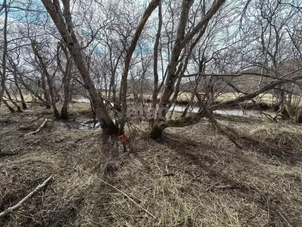 Участок в Камчатский край, с. Усть-Большерецк  (20.0 сот.) - Фото 1