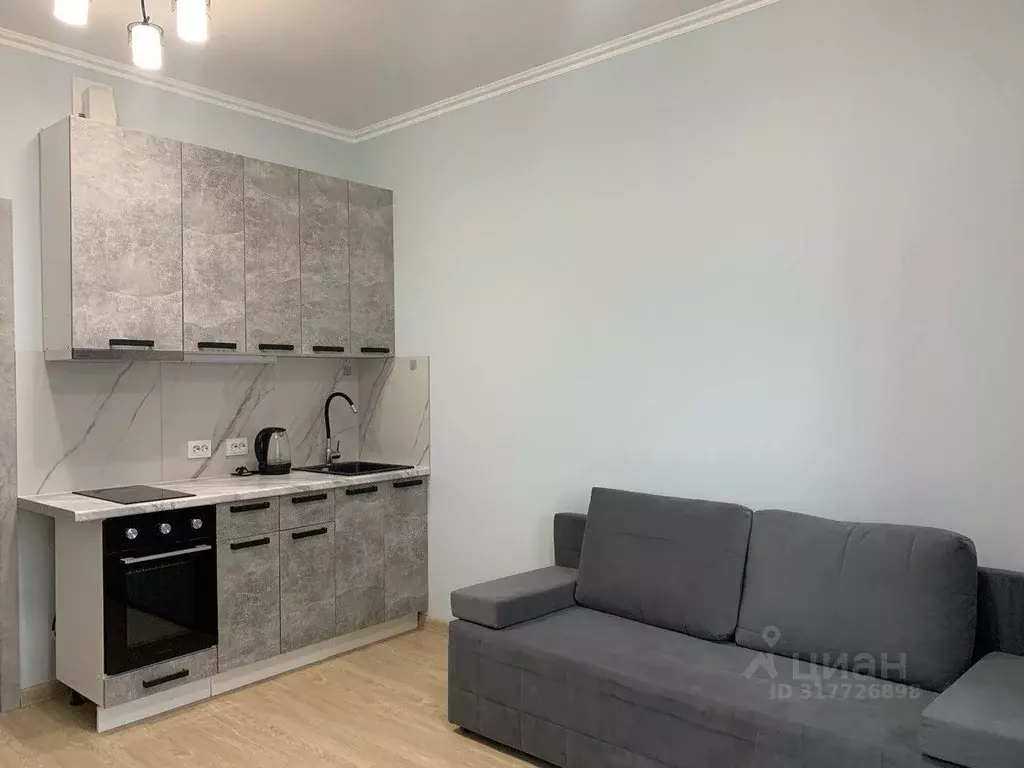 Студия Санкт-Петербург аллея Арцеуловская, 9 (20.0 м) - Фото 0